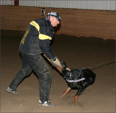 Training in Estonia 11/2007